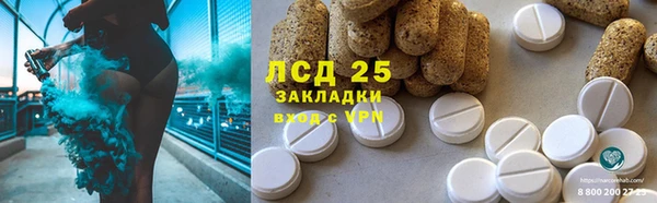 индика Приозерск